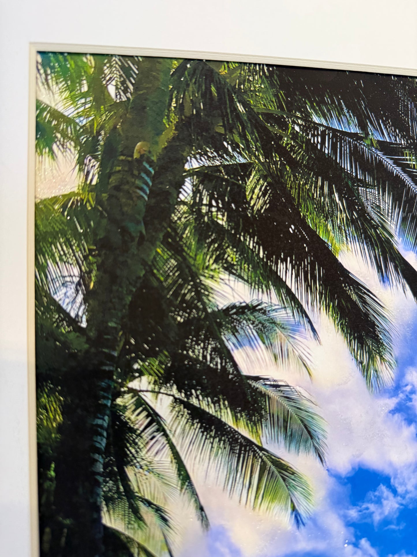 I Love Waikiki(日本限定)