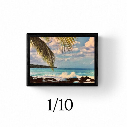 The Cove 1/10