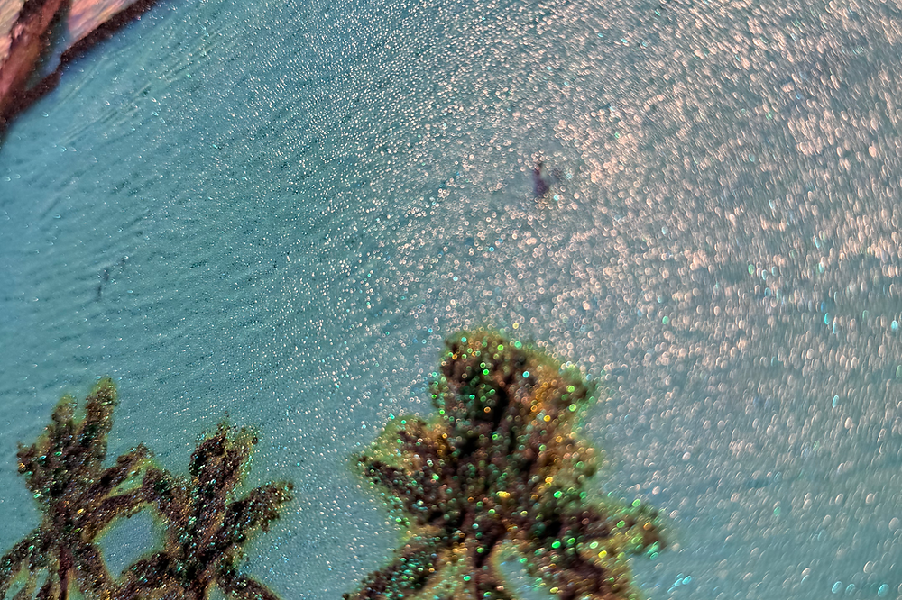 [完売] Coconut Sunset 1/10