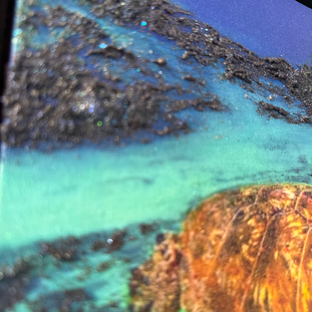 [完売]Honu Life 4/10