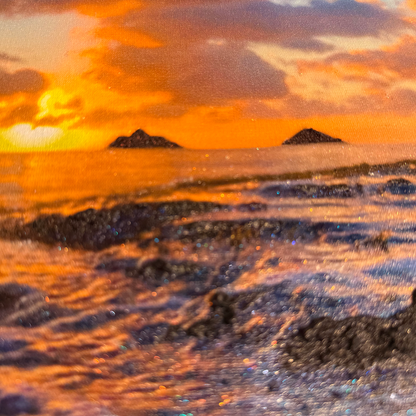 [完売]Rise and Shine 1/10