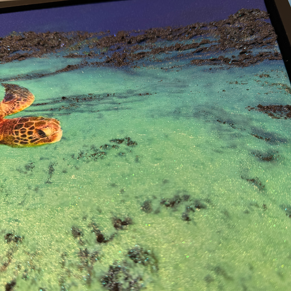 [完売]Honu Life 4/10