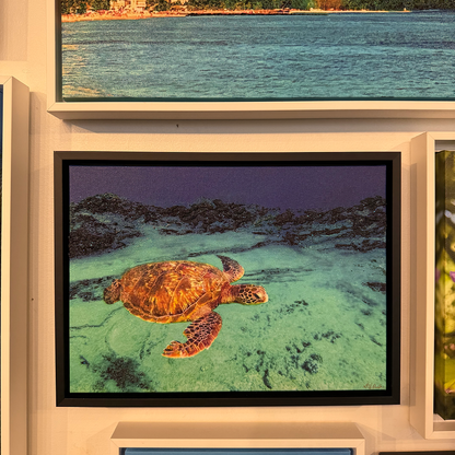 [完売]Honu Life 4/10